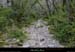 20020209_cotepatiere_ruisseauasec_1