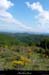 20130526_stmauriceibie_serrelongue