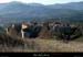20121209_stpaullejeune_lefrigolet_hameau