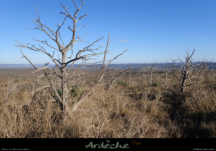 20190125_61