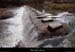20190202_landesousuzer2