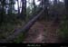 20100716_vagnas_boisdebertrandes3