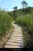 20120708_vagnas_pelledechamplacloque