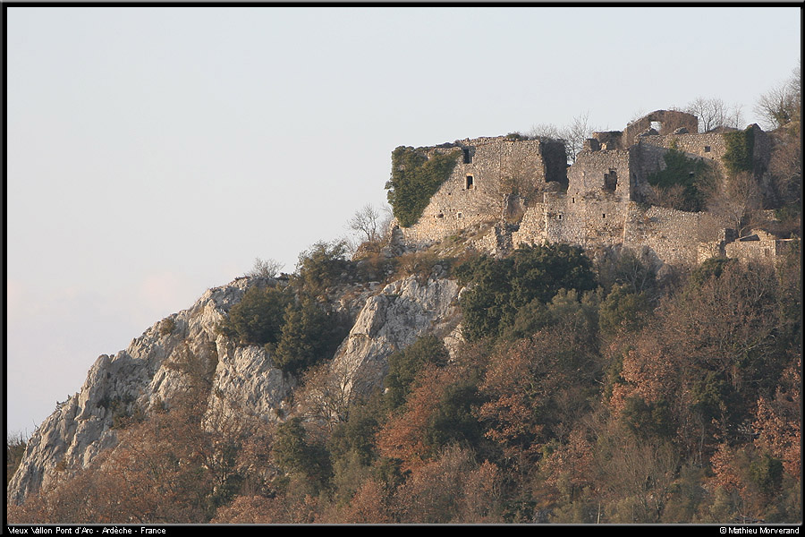 20051226 - Vallon de Colline d'Arduc - 2