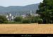 20190624_vpadepuisplainemazeslecolombier