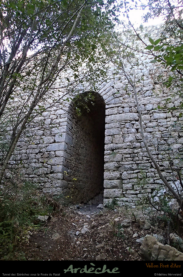 20151122_393