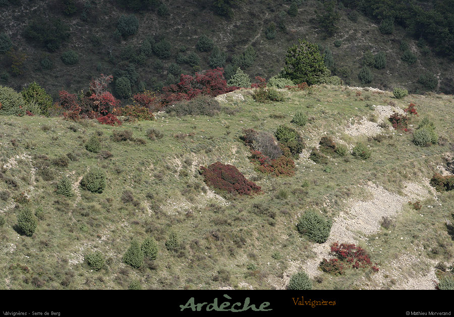 20081004_valvigneres_serredeberg