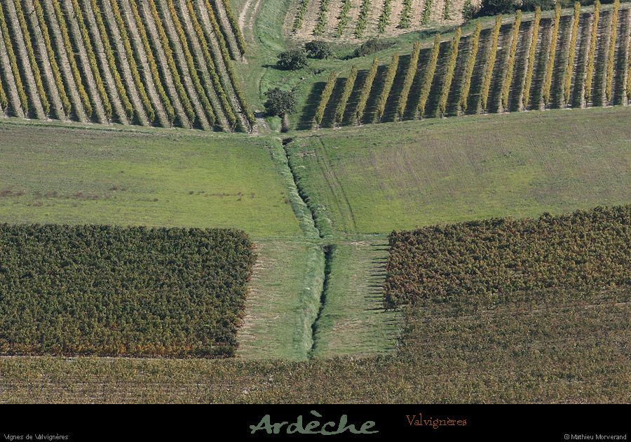 20081004_vignesvalvigneres3