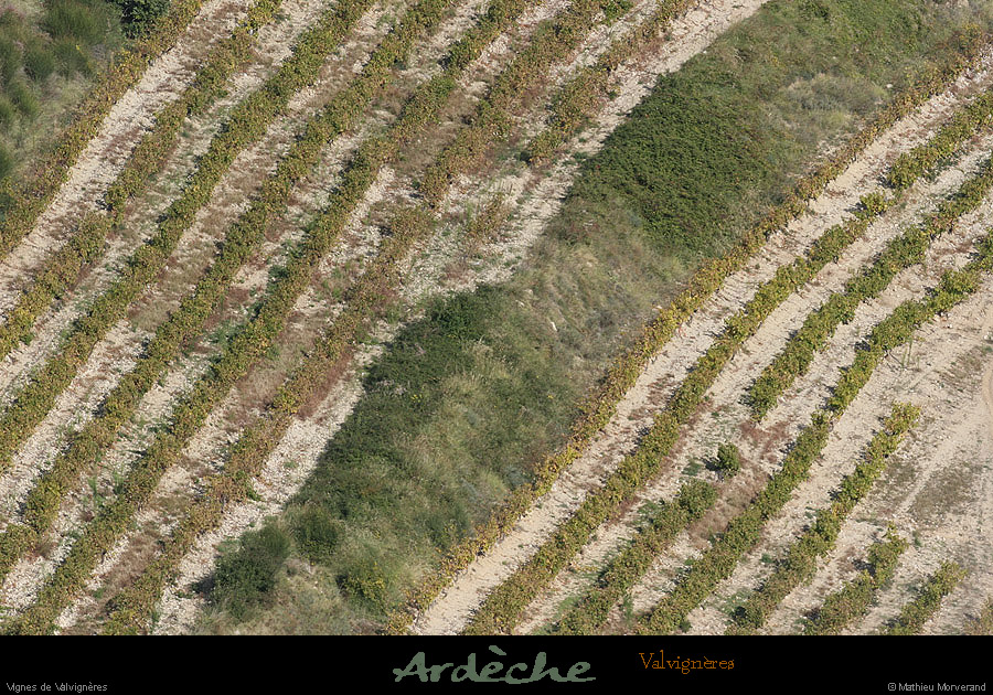 20081004_vignesvalvigneres6