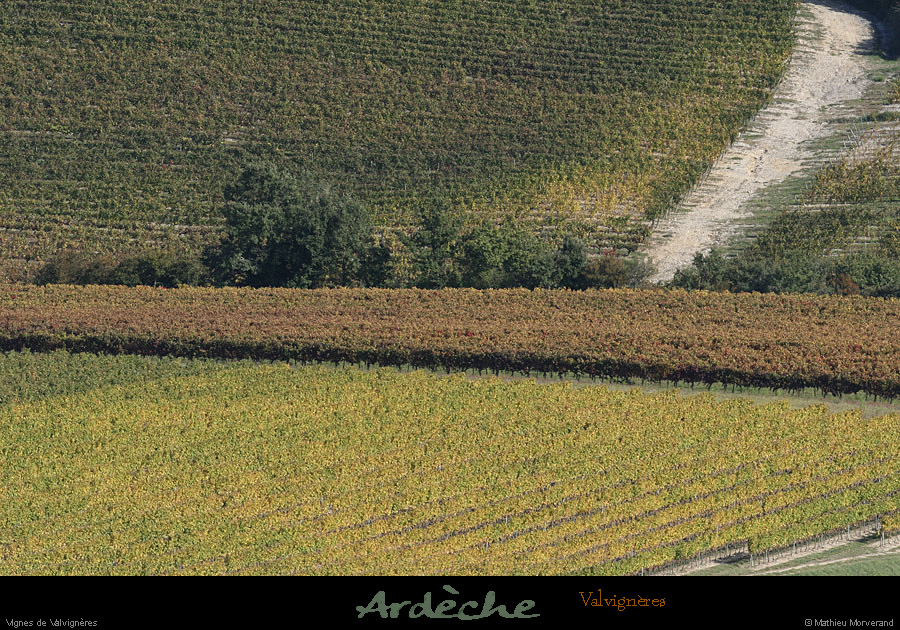 20081004_vignesvalvigneres7