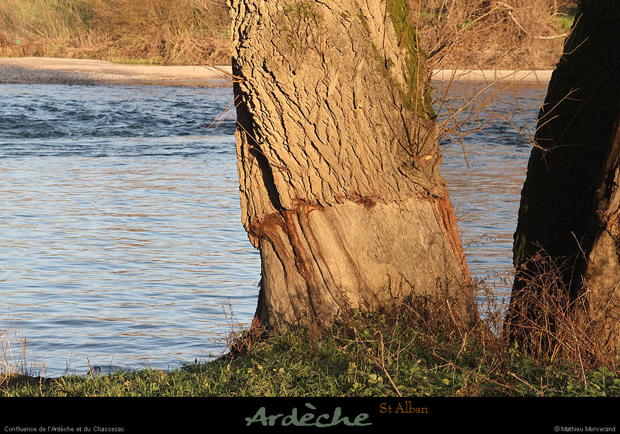 20121223_stalban_confluenceardechechassezac2