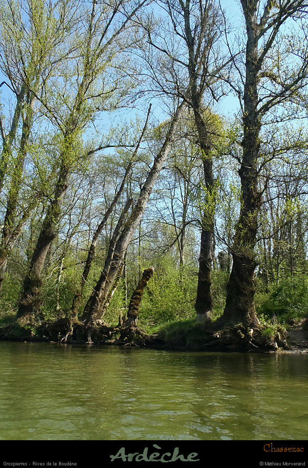 20130418_chassezac_grospierres_riveboudene