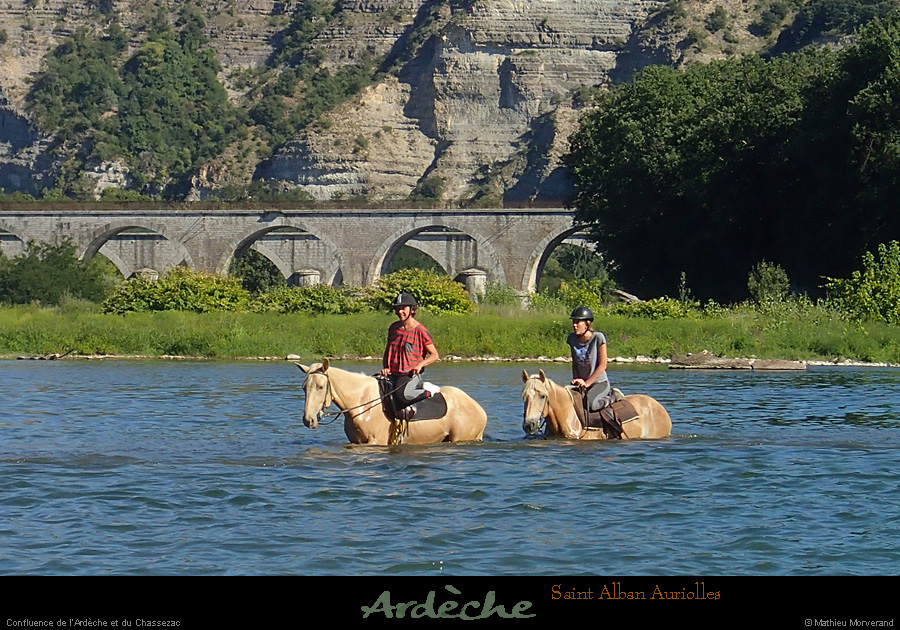 20140817_stalbanconfluencechevaux8