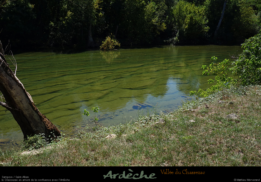 20200824_chassezacamconfluence3