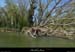 20130418_chassezac_grospierres_meandrechaterusse2