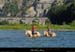 20140817_stalbanconfluencechevaux8