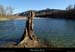 20160221_confluencechassezacardeche2