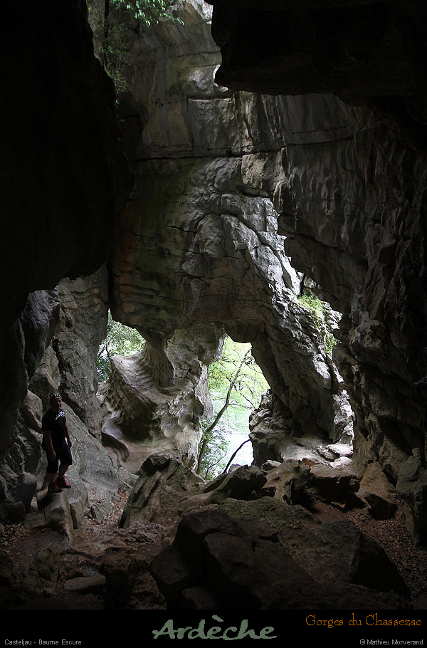 20130508_baumescurein01
