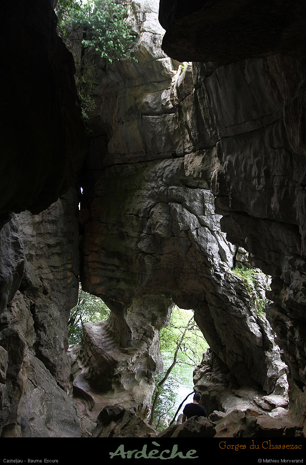 20130508_baumescurein02