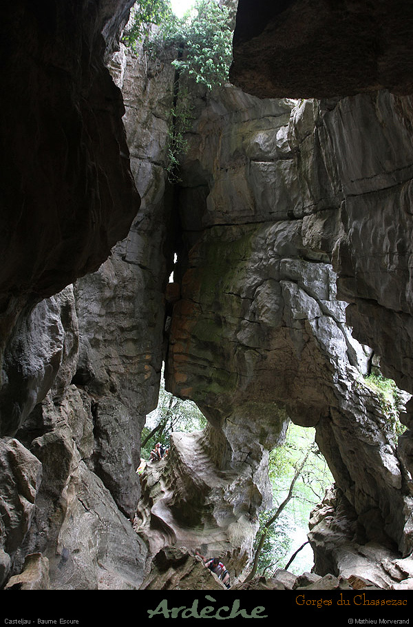 20130508_baumescurein04