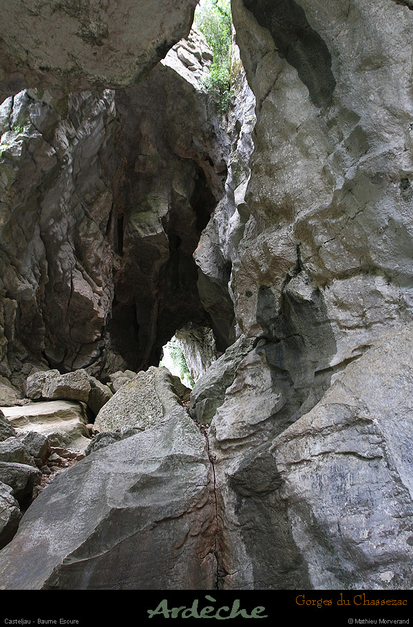 20130508_baumescurein08