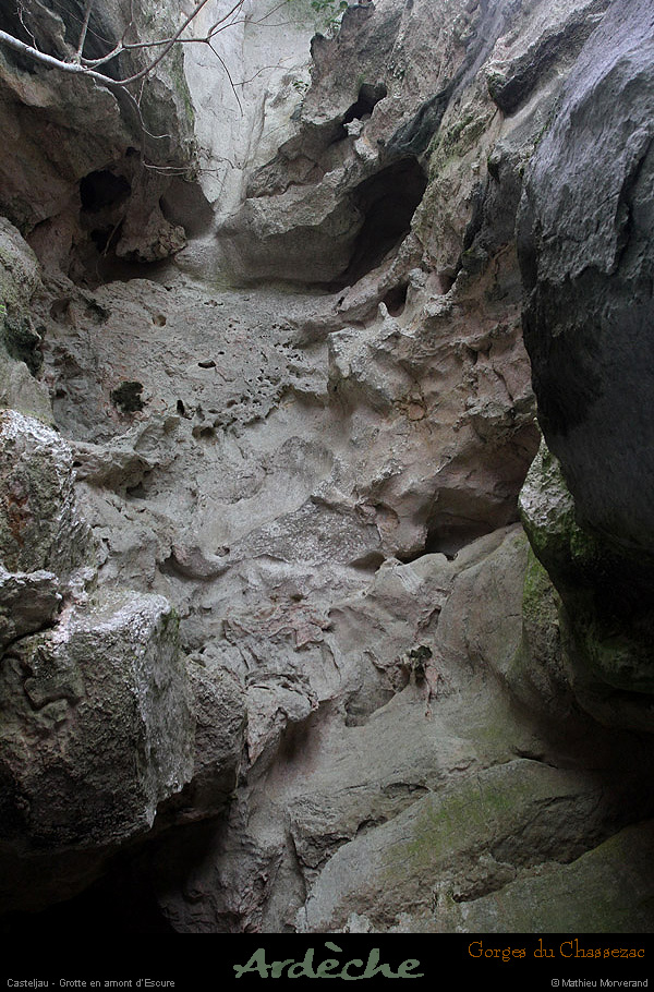 20130508_grottewescurebaume1