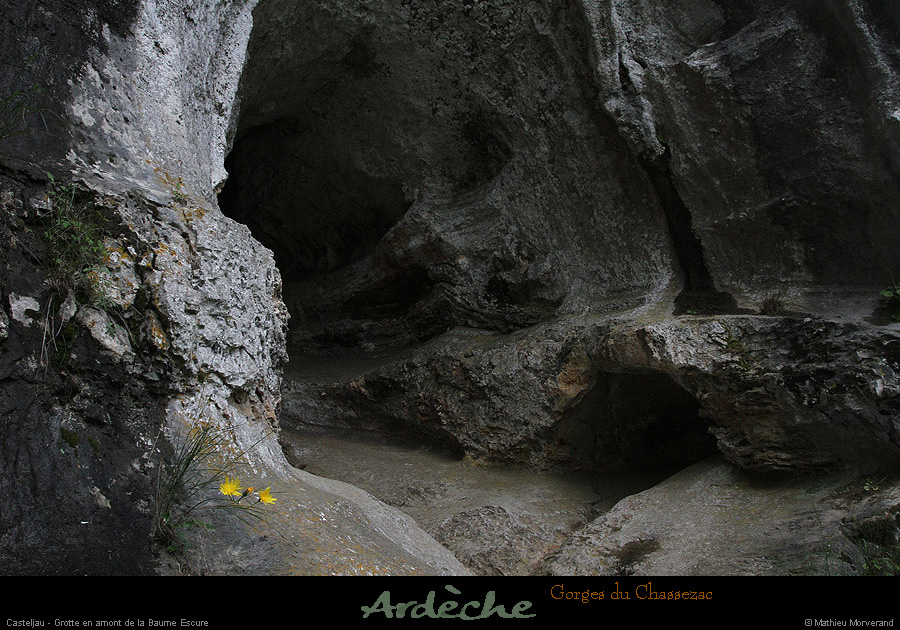 20130508_grottewescurebaume3