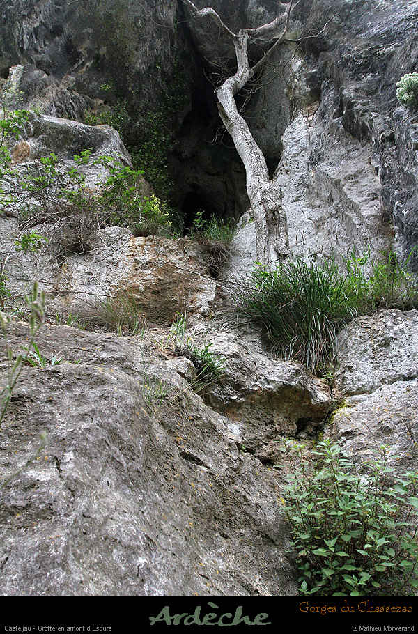 20130508_grottewescureentree4