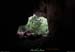 20130508_baumescure_sortiew05