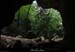 20130508_baumescure_sortiew07
