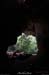 20130508_baumescure_sortiew11