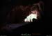 20130508_baumescure_sortiew2