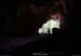 20130508_baumescure_sortiew3