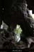 20130508_baumescurein03