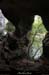 20130508_baumescurein05