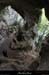 20130508_baumescurein06
