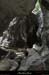 20130508_baumescurein09