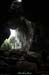 20130508_baumescurein10
