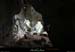 20130508_baumescurein12