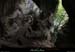 20130508_baumescurein17