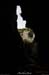 20130508_baumescureouverture2