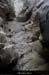 20130508_grottewescurebaume1