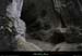 20130508_grottewescurebaume3