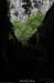 20130508_grottewescureout3