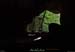 20200612_099