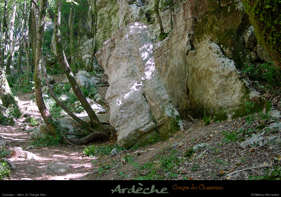 20010813_casteljau_boisprestrianglebeni_5