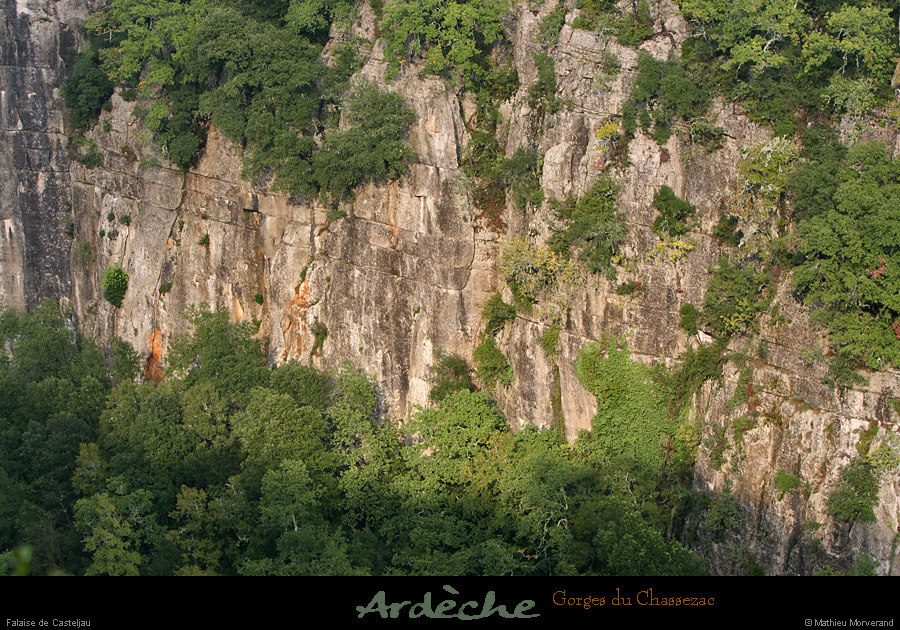 20051022_casteljau_gorges_falaises_1