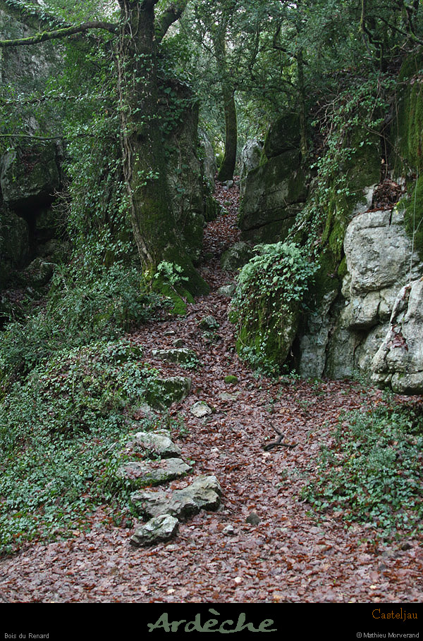 20100101_casteljau_boisdurenard02