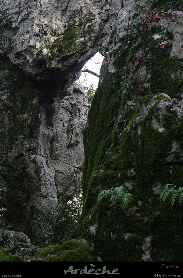 20100101_casteljau_boisdurenard07