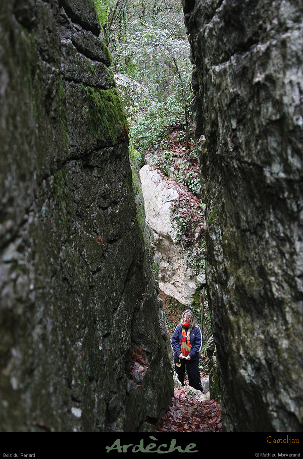 20100101_casteljau_boisdurenard09